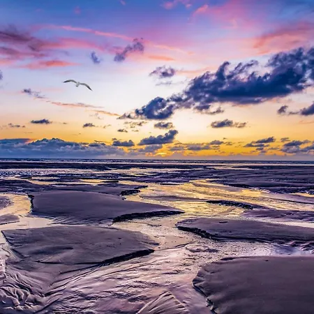 Le Regina Restaurant 호텔 하르델로 플라주