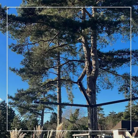 Le Regina Restaurant 호텔 3*