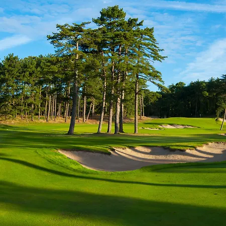 Le Regina Restaurant 호텔 하르델로 플라주