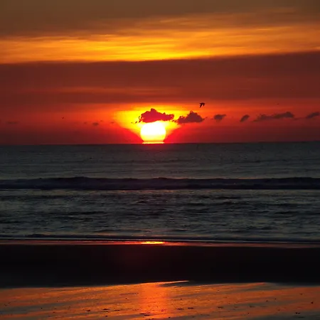 Le Regina Restaurant 호텔 3*