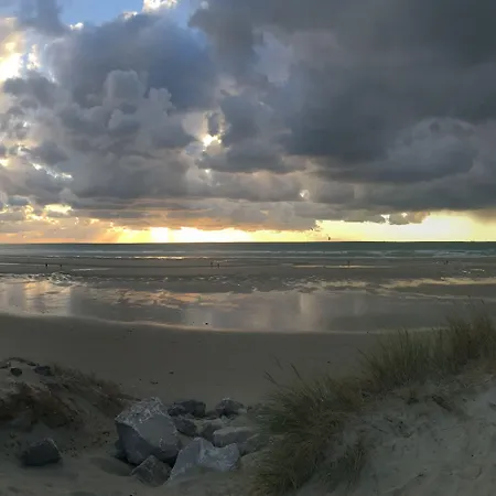 호텔 Le Regina Restaurant 하르델로 플라주