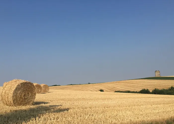 Le Regina Restaurant Hardelot-Plage