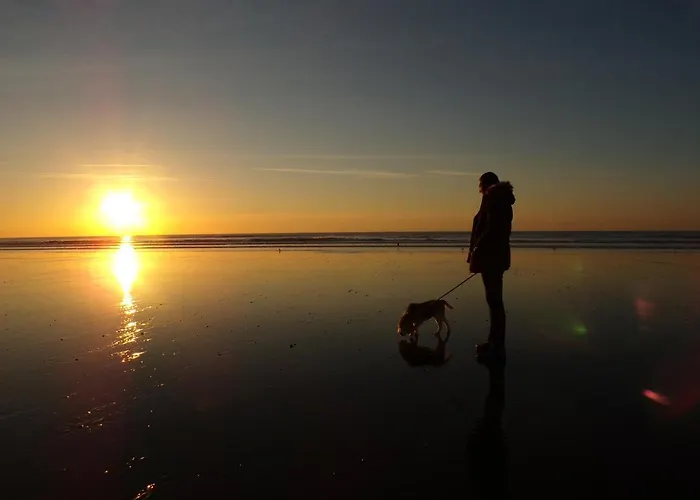 Szálloda Le Regina Restaurant 3*